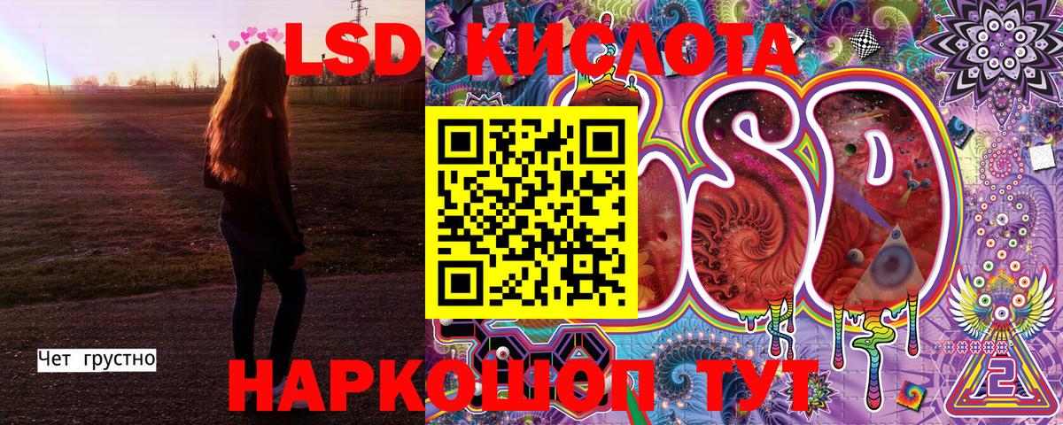 Марки N-bome  Вход с VPN  Камышлов  где найти наркотики  Марки NBOMe 1500мкг 