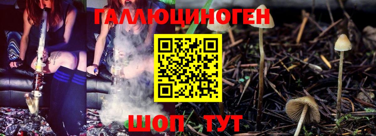 Псилоцибиновые грибы мухоморы  Вход с VPN  Камышлов 