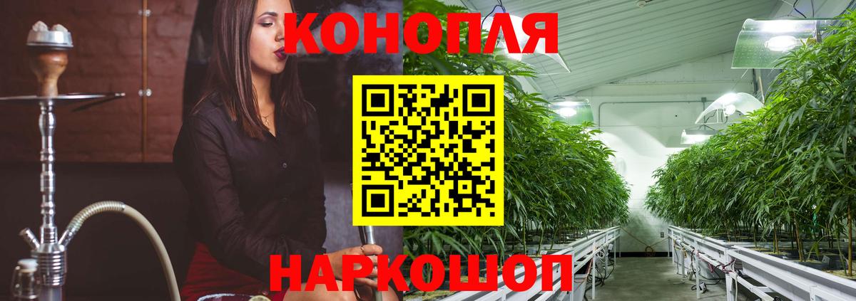 Марихуана White Widow  МАРИХУАНА индика  Вход с VPN  Камышлов  Марихуана планчик 